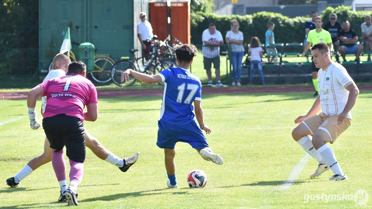 Wisła Borek Wlkp. - Victoria Ostrzeszów 3 : 0