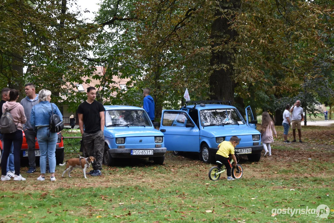 Zlot samochodów retro w Zamku Wielkopolskim w Rokosowie