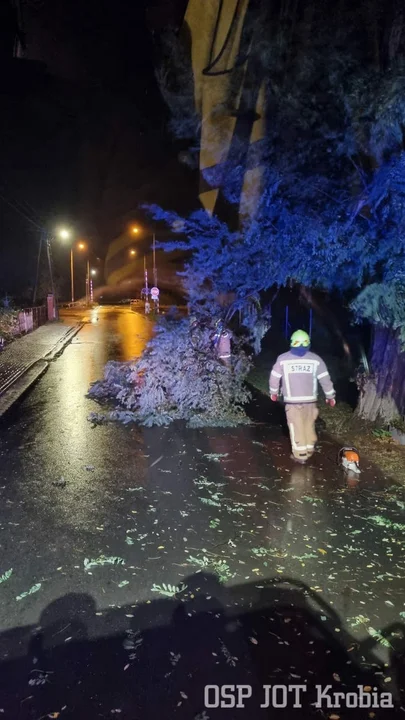 Porywisty wiatr narobił szkód w powiecie gostyńskim.