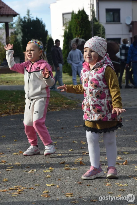 Dzień Pyry w Chwałkowie