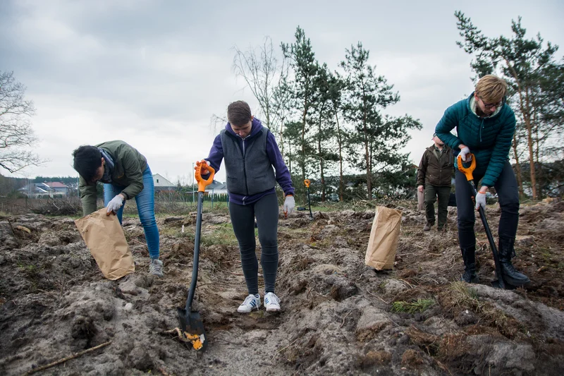 Dziennikarze jarocinska.pl i wolontariusze Fundacji Ogród Marzeń sadzili las w Roszkowie