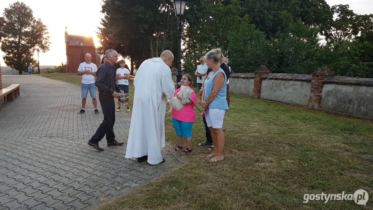 Błogosławieństwo zwierząt domowych w kościele w Starym Gostyniu