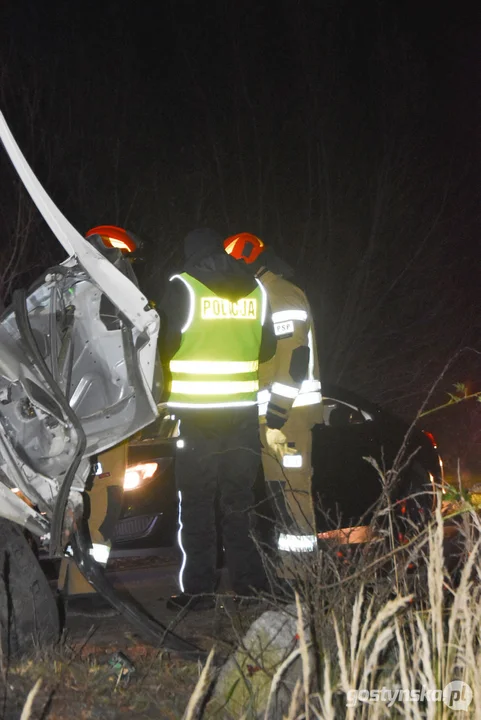 Czołówka z drzewem. Wypadek w Grodzisku (gm. Poniec)