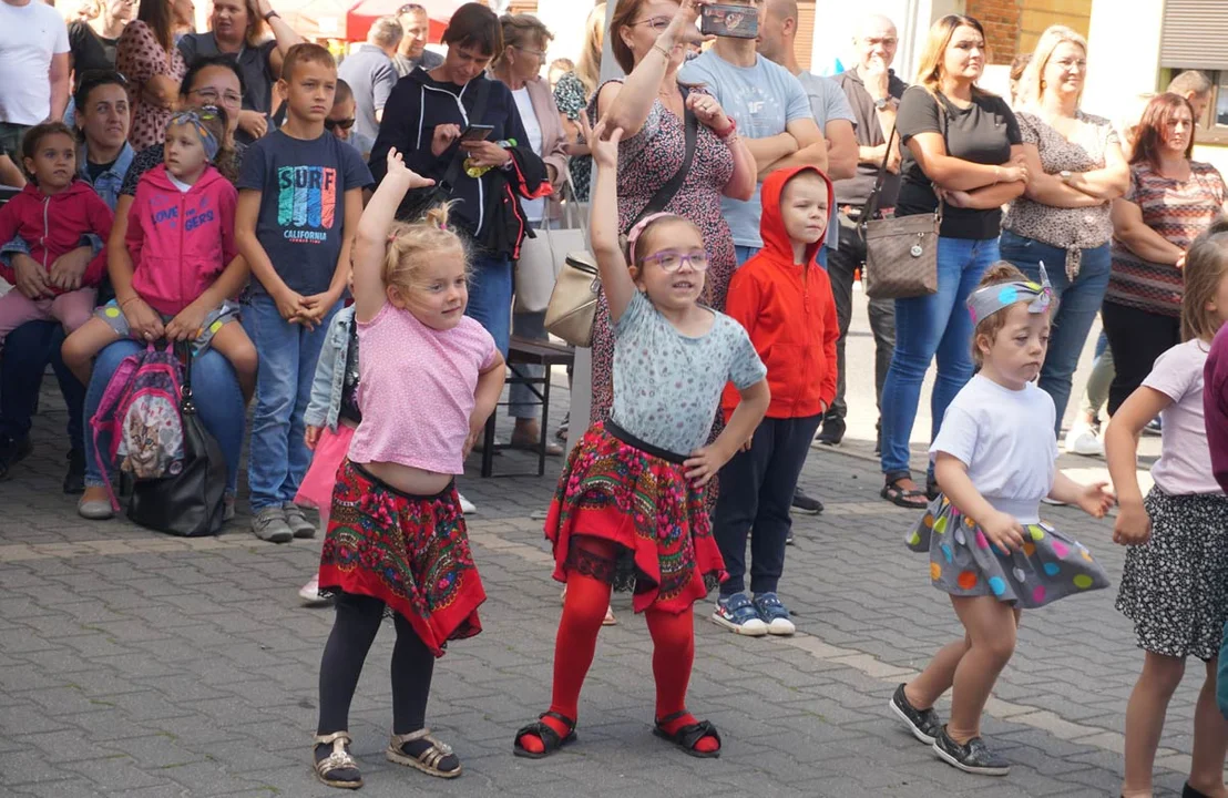 Święto Sera Smażonego w Pogorzeli. Tym razem był pogorzelski ser i gzik z Koźmina - Zdjęcie główne