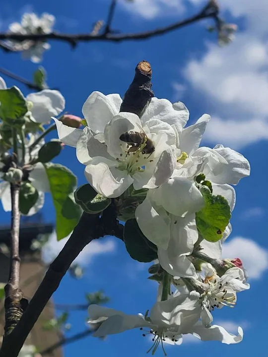 Powiatowy Konkurs Fotograficzny „Cztery Pory Roku”