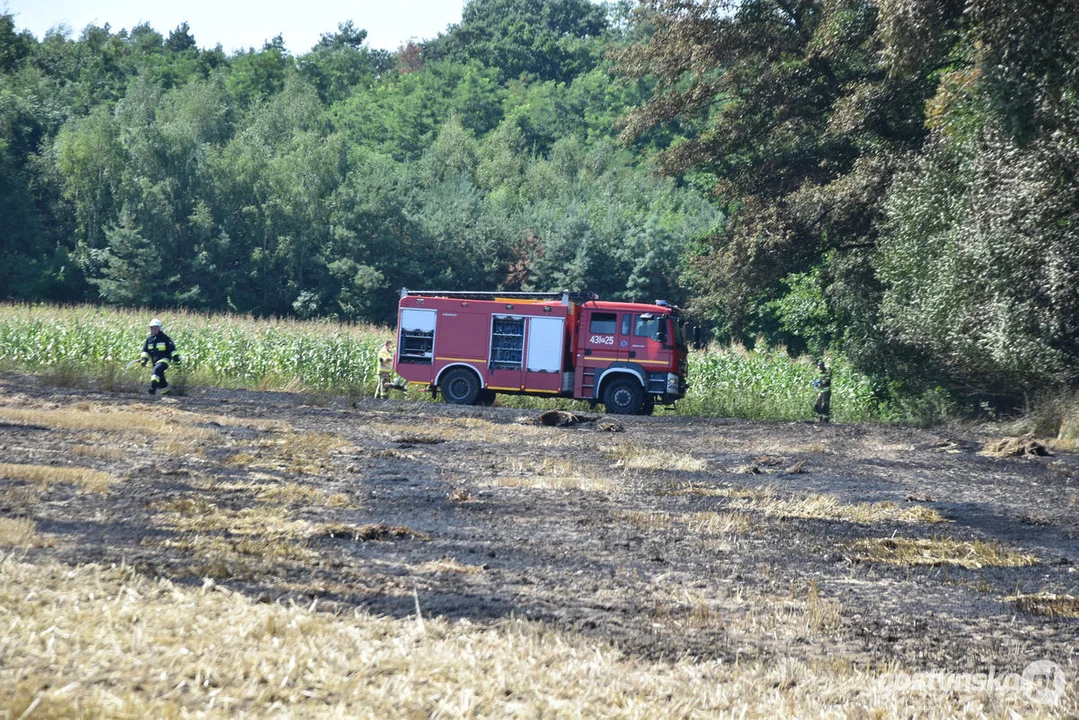 Pożar zboża w Osowie (gm. Gostyń)