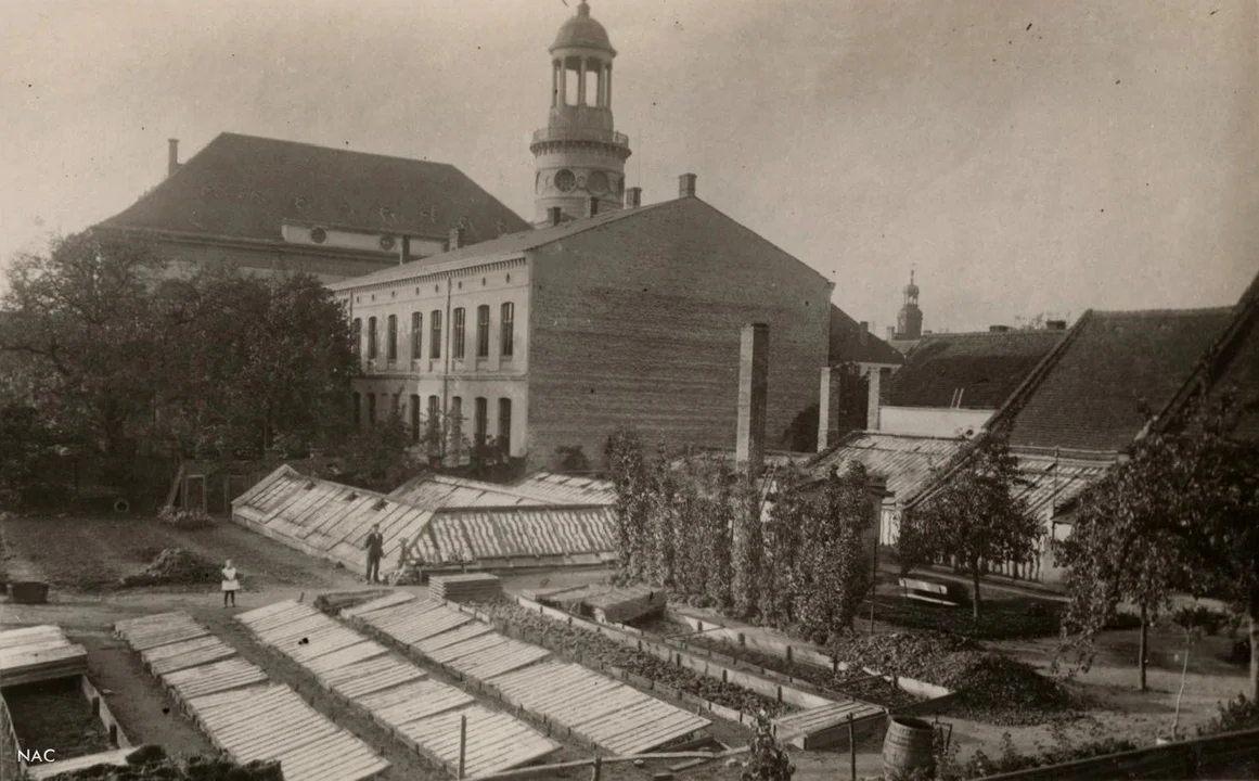 Zakład ogrodniczy (dziś ul. Scherwentkego) 1930