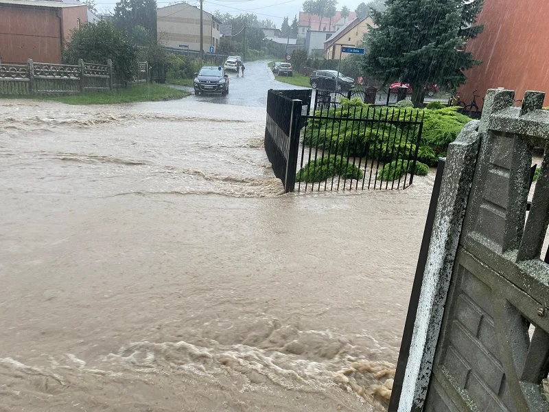 Ponad sto interwencji strażaków z powodu nawałnic. Najwięcej szkód jest w gminie Pleszew i Gołuchów - Zdjęcie główne