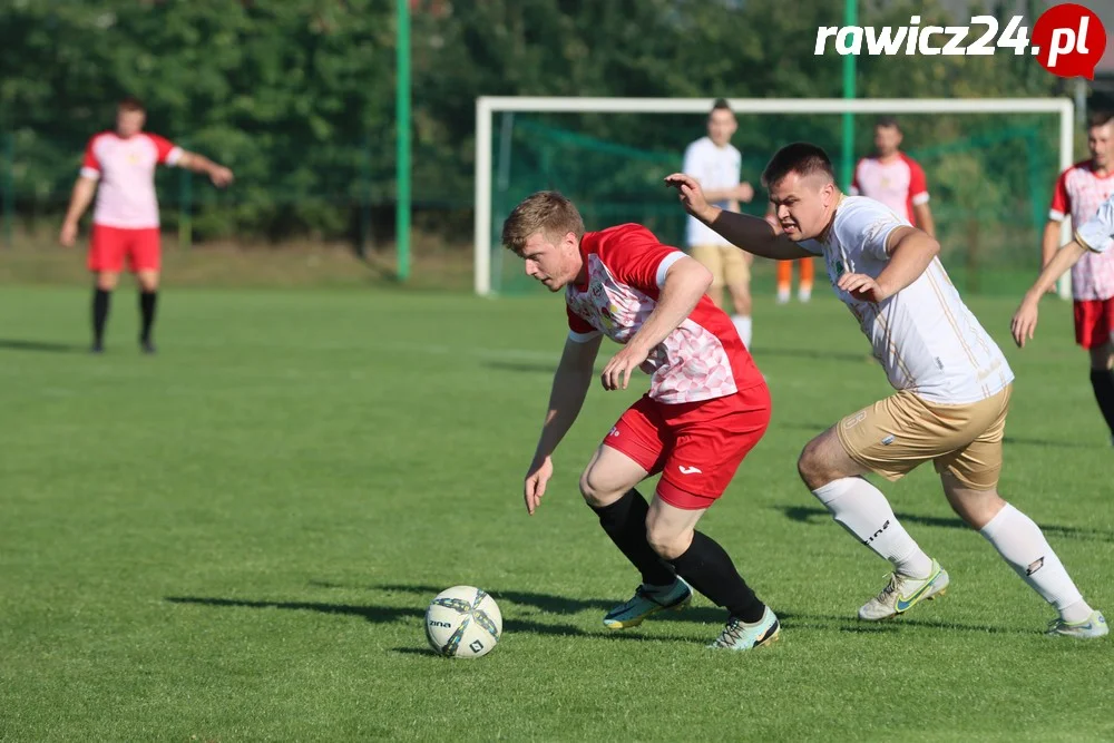 Awdaniec Pakosław - Wisła Borek Wielkopolski 2:5