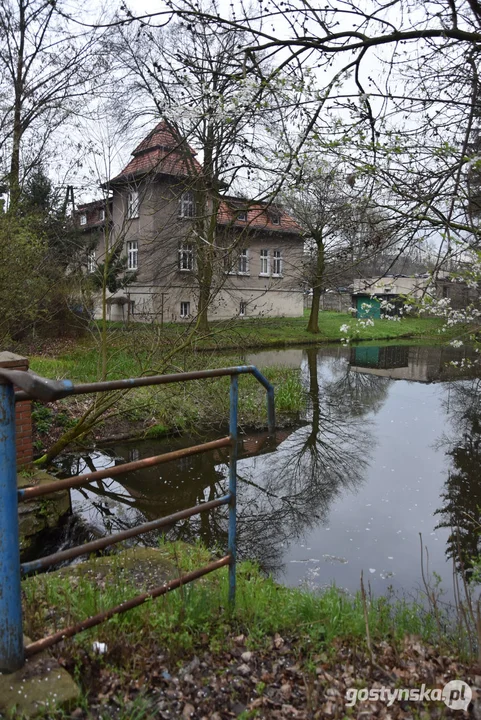 Gmina Gostyń planuje renowację stawów