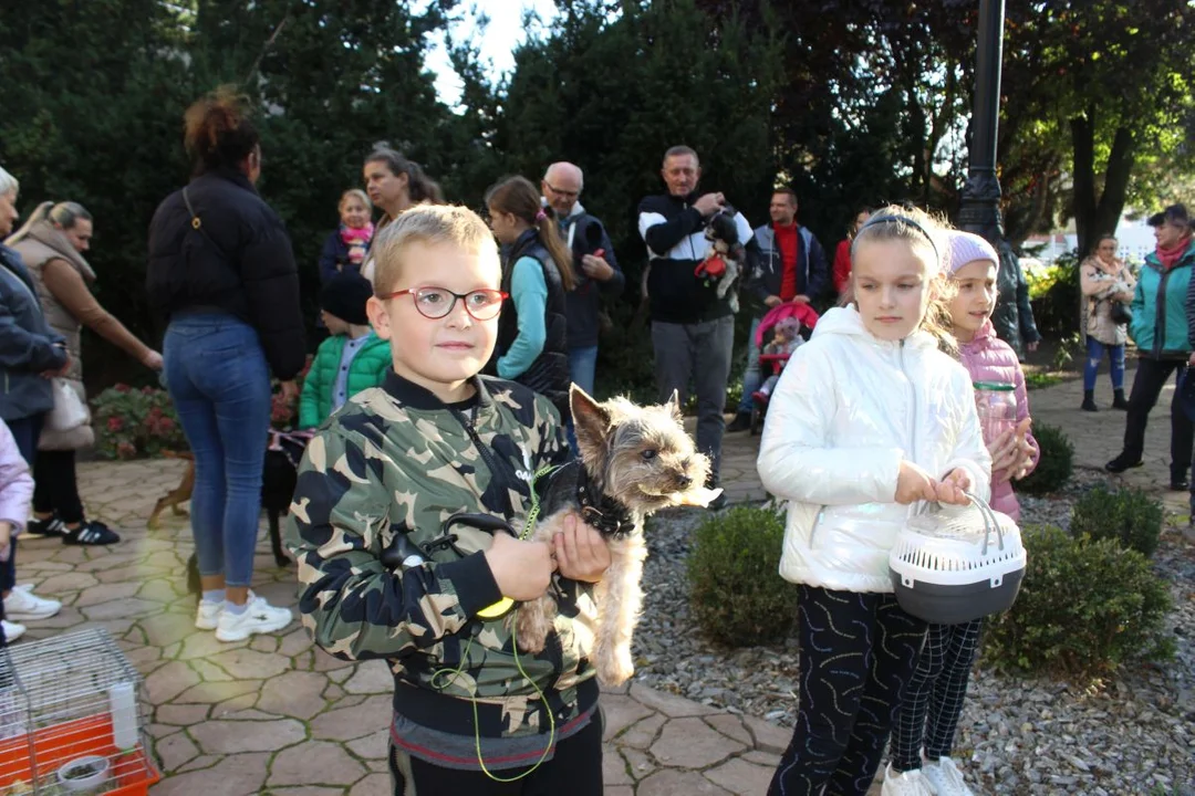 Franciszkanie w Jarocinie. Odpust św. Franciszka z Asyżu