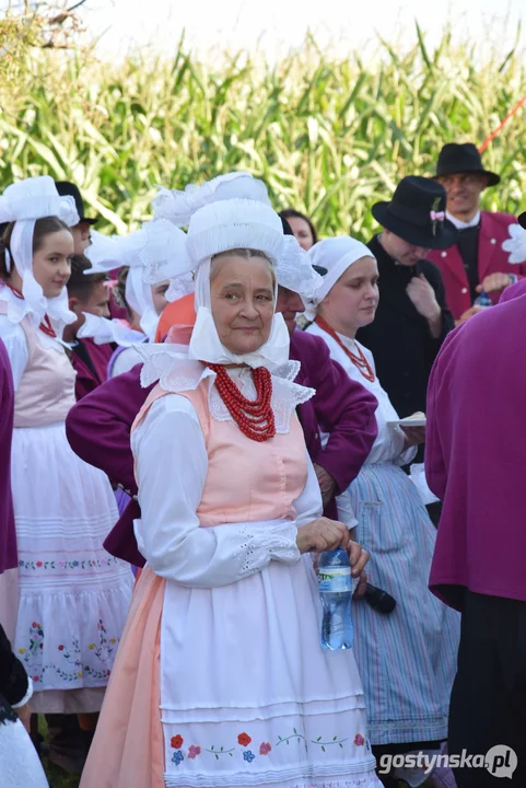 XI Festiwal Tradycji i Folkloru w Domachowie - wesele buskupiańskie i podpisanie umowy partnerskiej