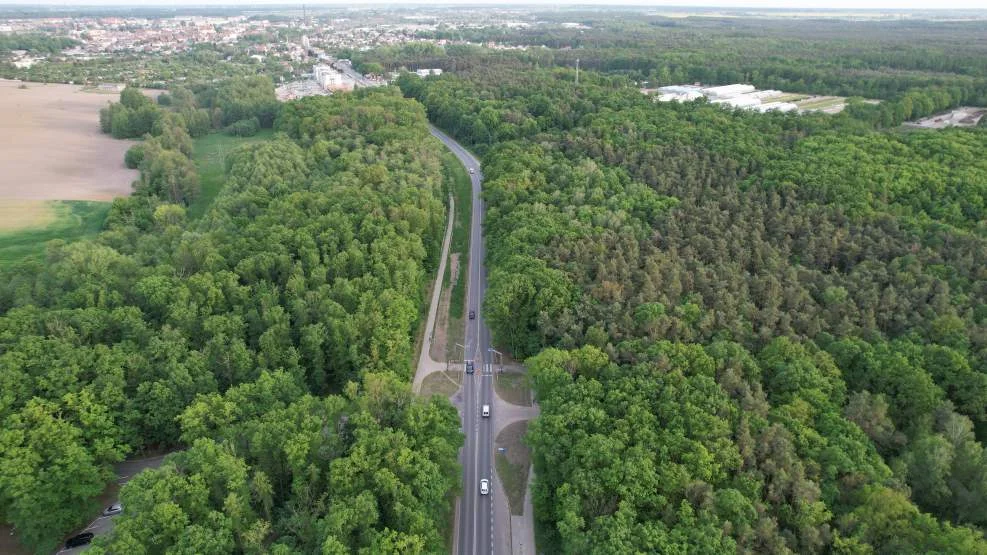 Kolejne potrącenie na przejściu dla pieszych przy ul. Poznańskiej w Jarocinie