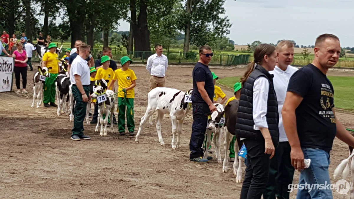 Jubileuszowa, bo XV Regionalna Wystawa Zwierząt Hodowlanych w Pudliszkach