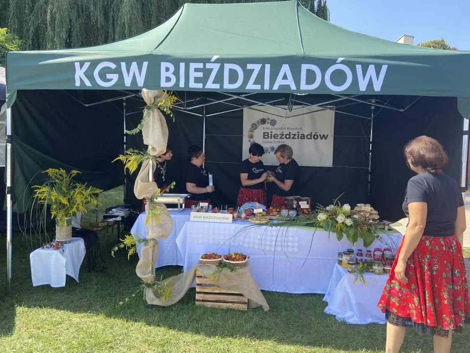 Bitwa Regionów Święto Pomidora Kotlin 2022