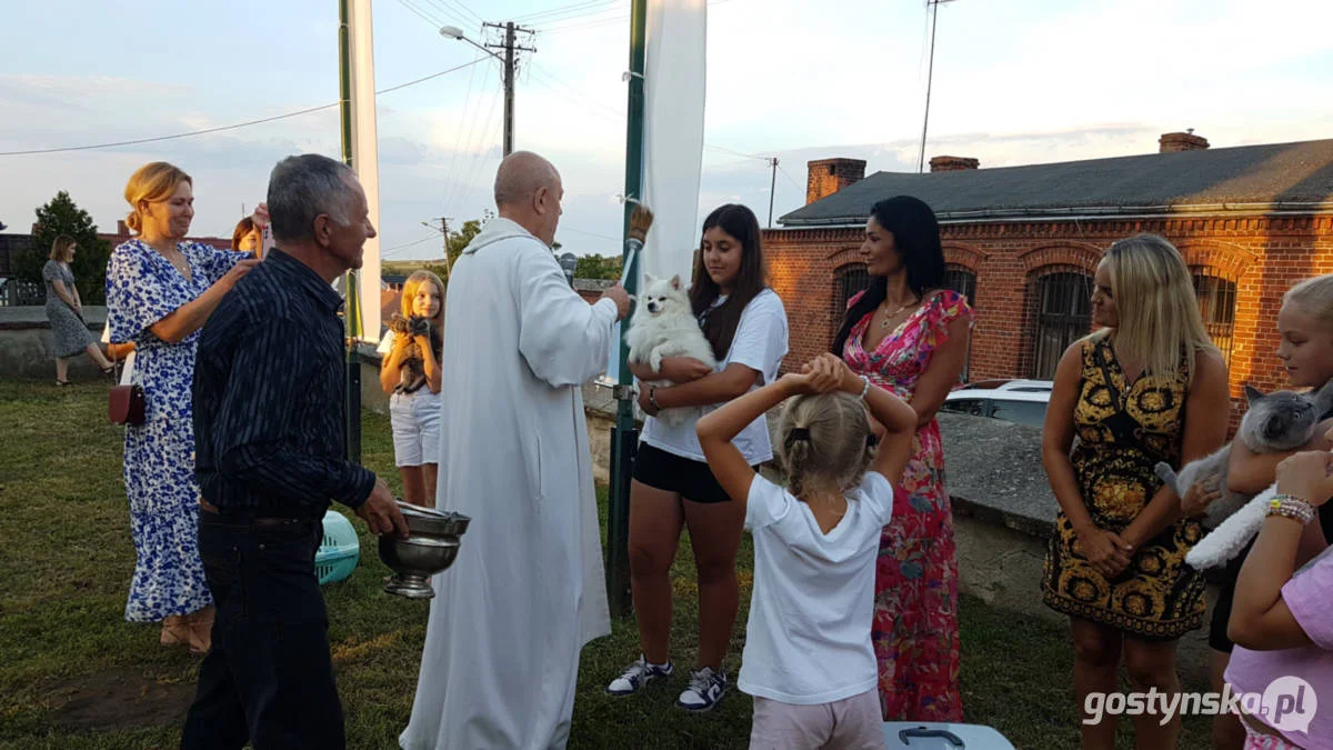 Błogosławieństwo zwierząt domowych w kościele w Starym Gostyniu