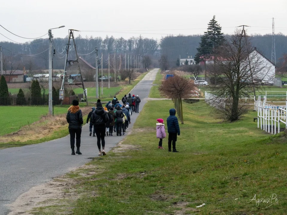 PTTK Pleszew - wejście na Gołębią Górę