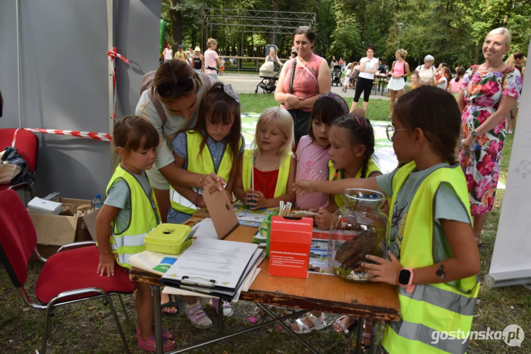 Rodzinny piknik w Pogorzeli - z alpakami i kamykami