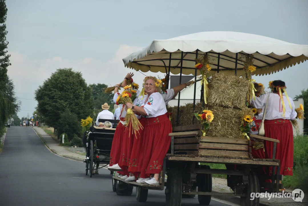 Dożynki w Brzeziu 2023