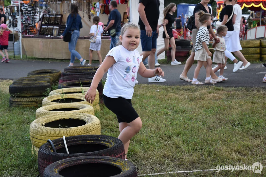 Koncert zespołu Dżem w Gostyniu. Dni Gostynia 2024