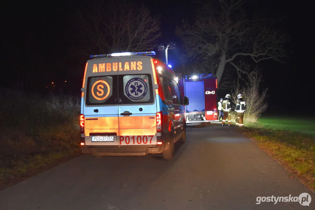 Czołówka z drzewem. Wypadek w Grodzisku (gm. Poniec)