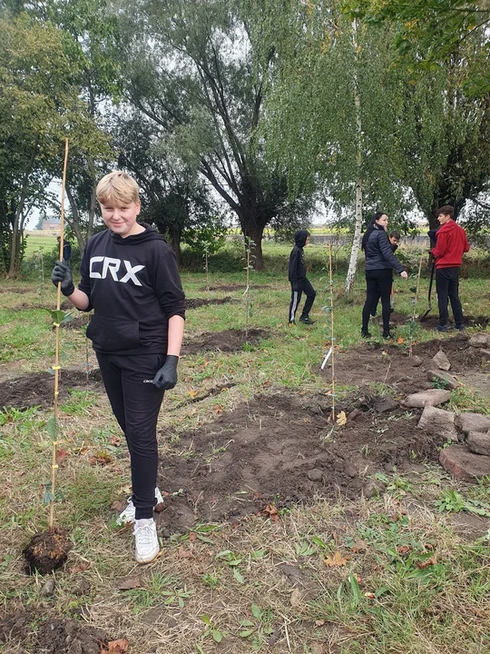 Światowy Dzień Drzewa w Krobi