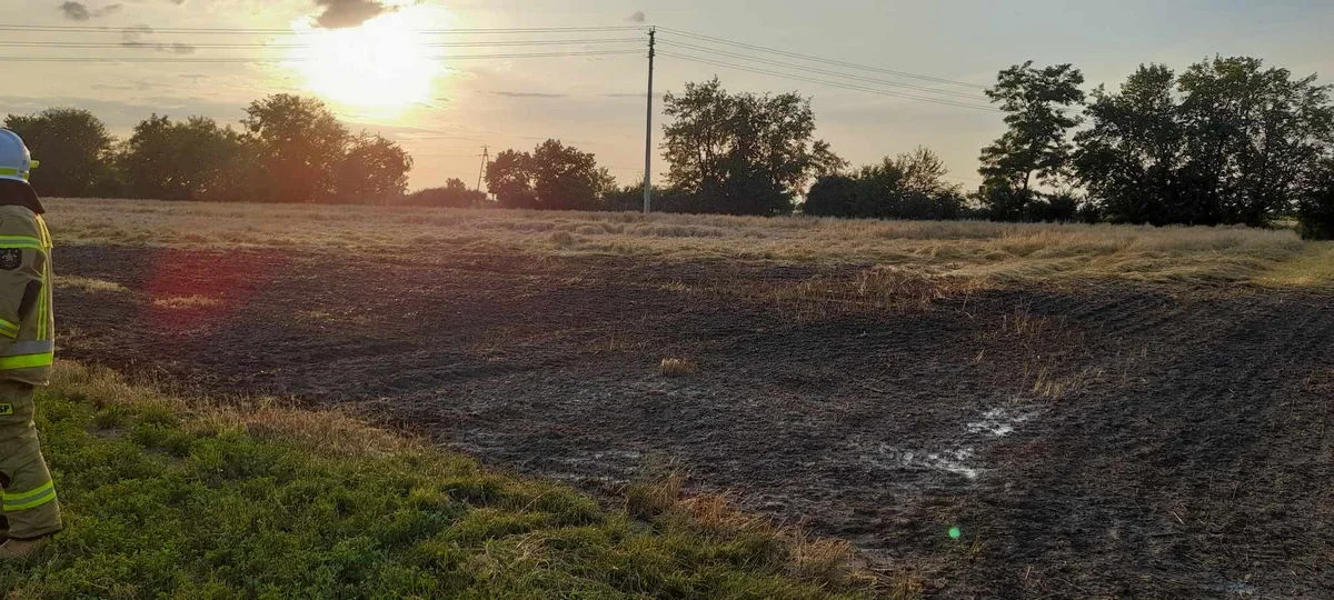 Pożar zboża na Głogówku i innych miejscowościach powiatu gostyńskiego