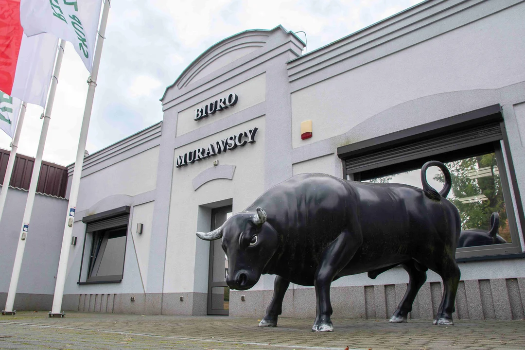 35 lat rozwoju – jak Murawscy przeszli drogę od małej firmy do sukcesu w branży mięsnej