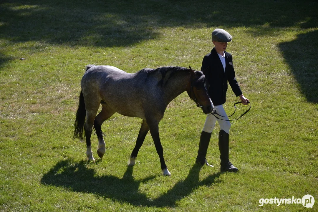 Rokosowo Horse Show 20224 - Konie i Powozy na Zamku Wielkopolskim w Rokosowie