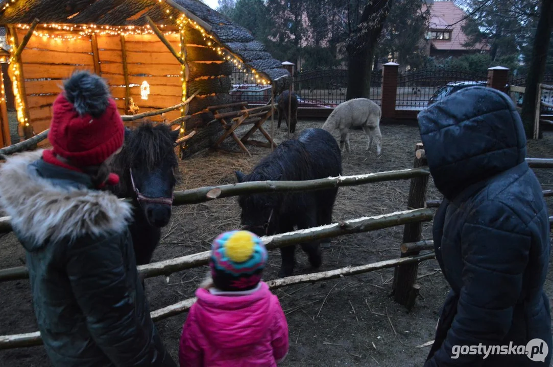 Żywa szopka bożonarodzeniowa w Nieparcie