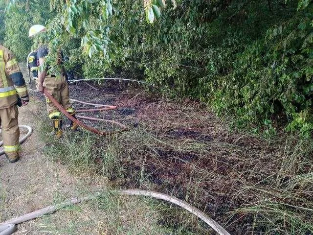 Pożar lasu w Szymonkach