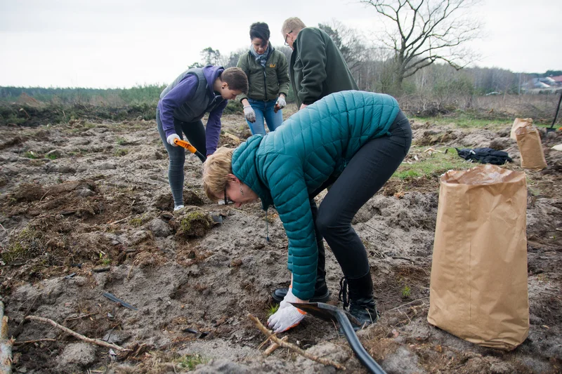 Dziennikarze jarocinska.pl i wolontariusze Fundacji Ogród Marzeń sadzili las w Roszkowie