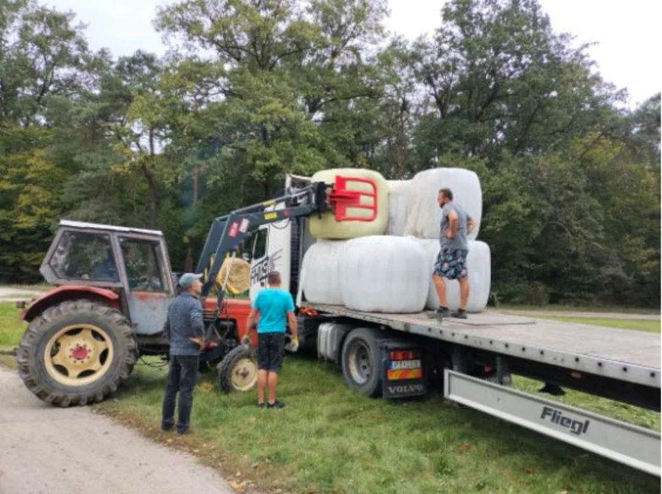 Rolnicy uczestniczyli w załadunku płodów rolnych