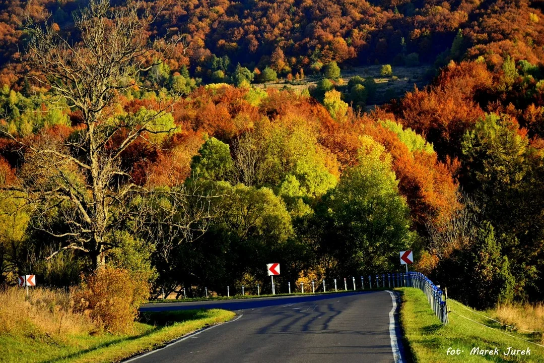 Jesień w Bieszczadach. Niezwykłe pejzaże i feeria barw [GALERIA] - Zdjęcie główne