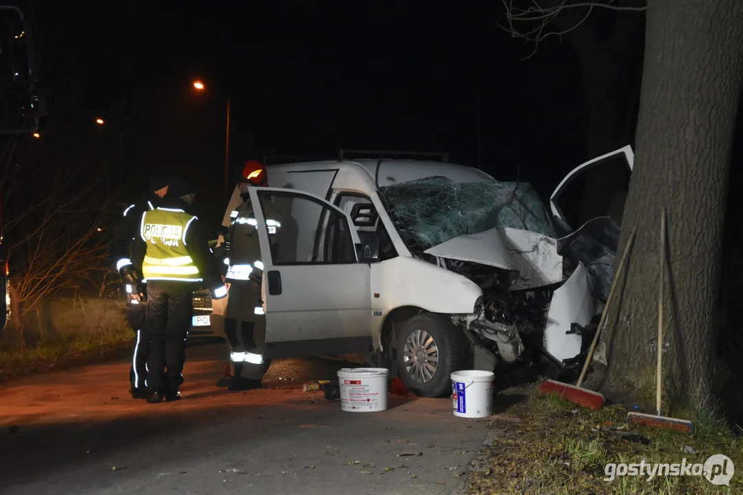 Czołówka z drzewem. Wypadek w Grodzisku (gm. Poniec)