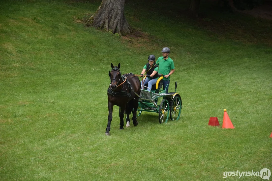 Rokosowo Horse Show 2024 - dzień pierwszy