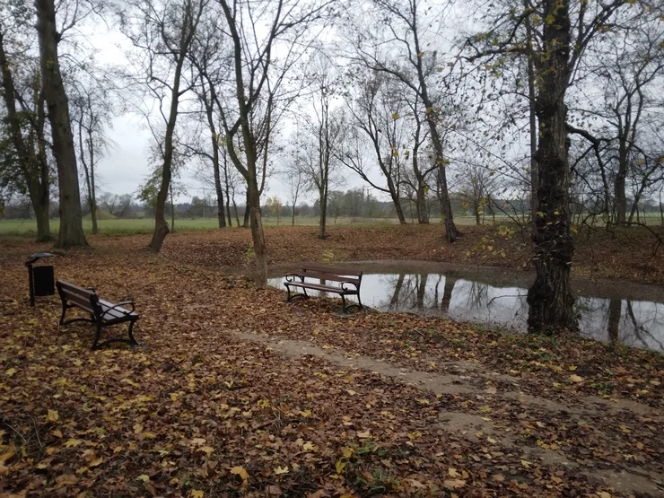 Park w Oborach wypiękniał. W odnawianie zaangażowali się mieszkańcy [ZDJĘCIA] - Zdjęcie główne