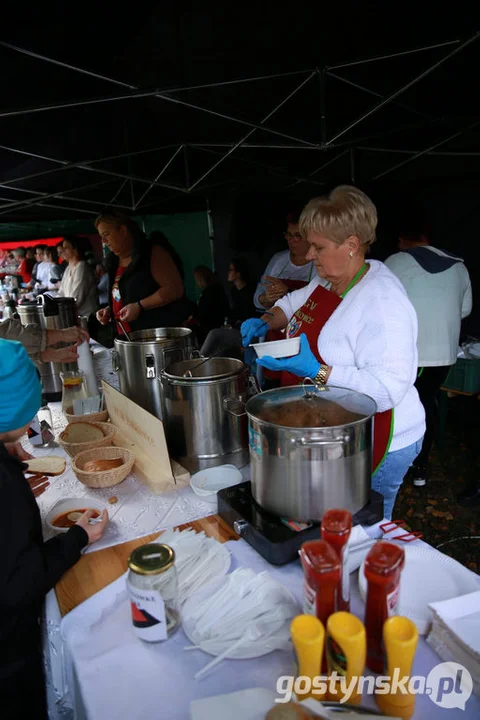 Odpust i piknik w Pępowie