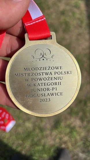 Mieszkańcy powiatu rawickiego z medalami wrócili z Mistrzostw Polski w powożeniu - Zdjęcie główne