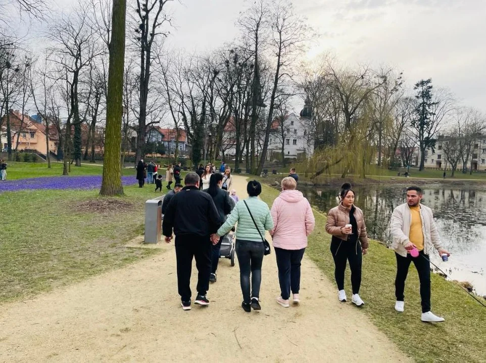 Tłumy w Parku Radlińskich w Jarocinie