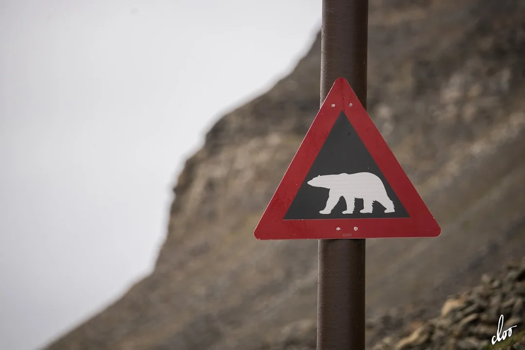 Wyprawa pleszewian na Spitsbergen