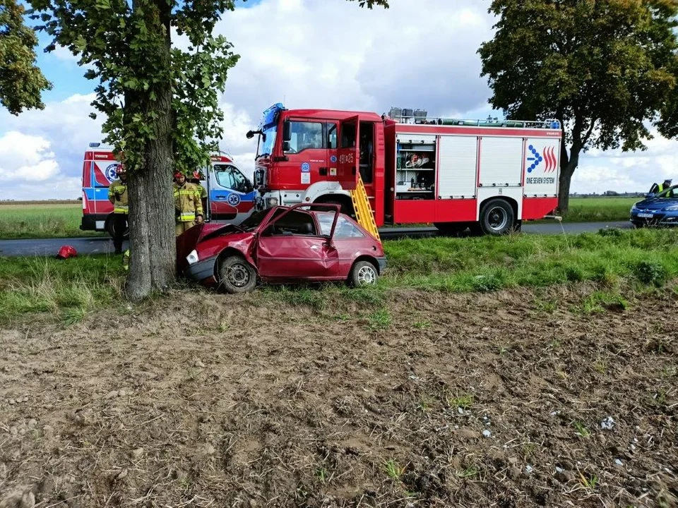 Wypadek we Wróżewach