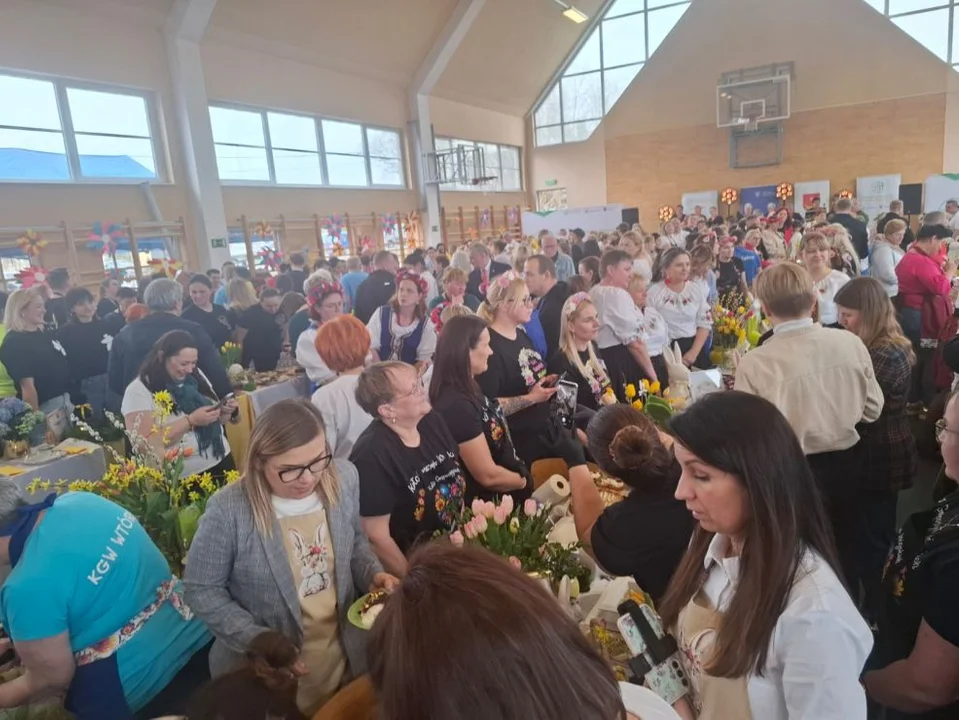 Trwa wielkie tarcie chrzanu w Chrzanie. Przy tarkach stanęło blisko 100 KGW z całej Wielkopolski [ZDJĘCIA]