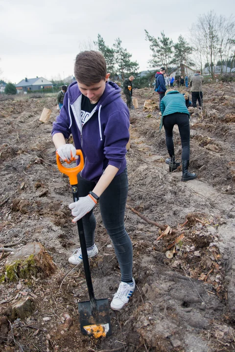 Dziennikarze jarocinska.pl i wolontariusze Fundacji Ogród Marzeń sadzili las w Roszkowie