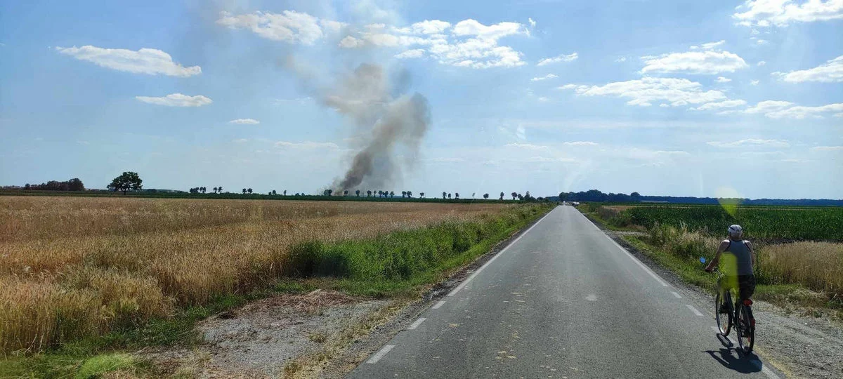 Pożar zboża na Głogówku i innych miejscowościach powiatu gostyńskiego