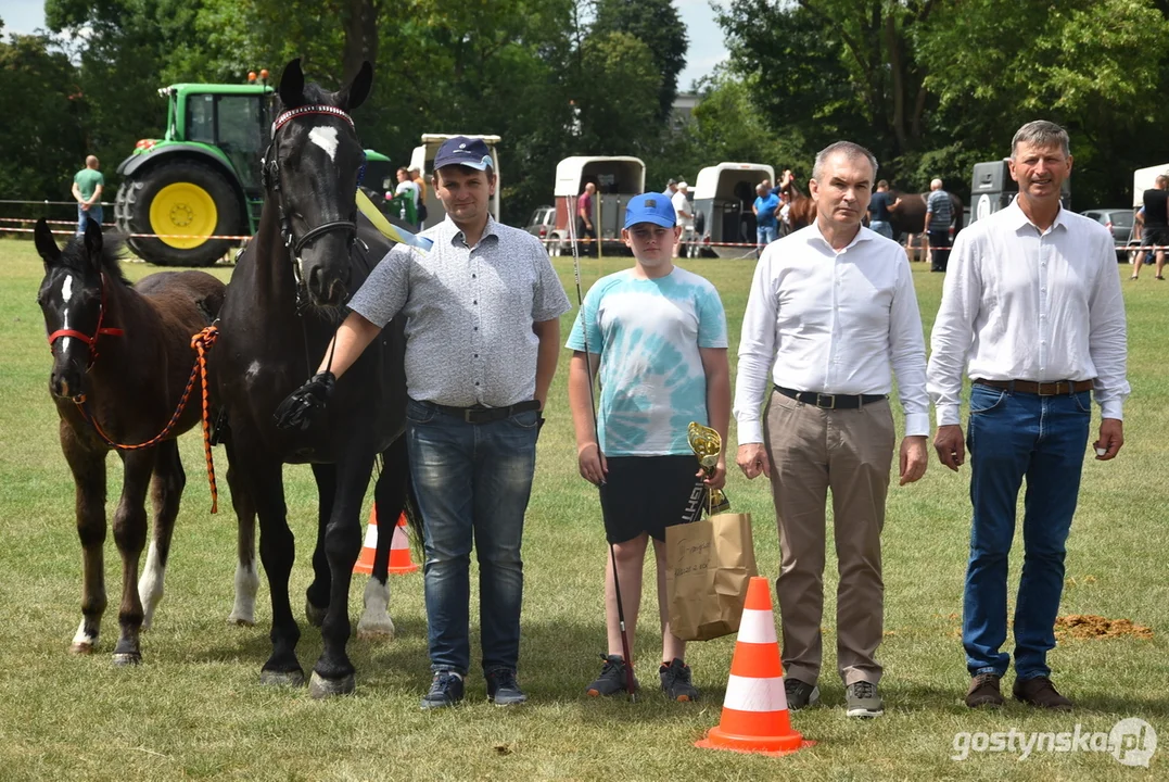 Regionalna wystawa koni hodowlanych w Pępowie