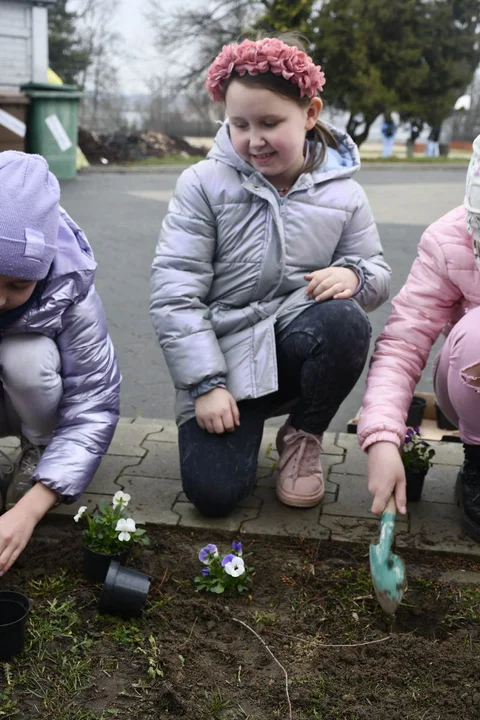 Dzień Wiosny w Szkole Podstawowej nr 3 w Gostyniu