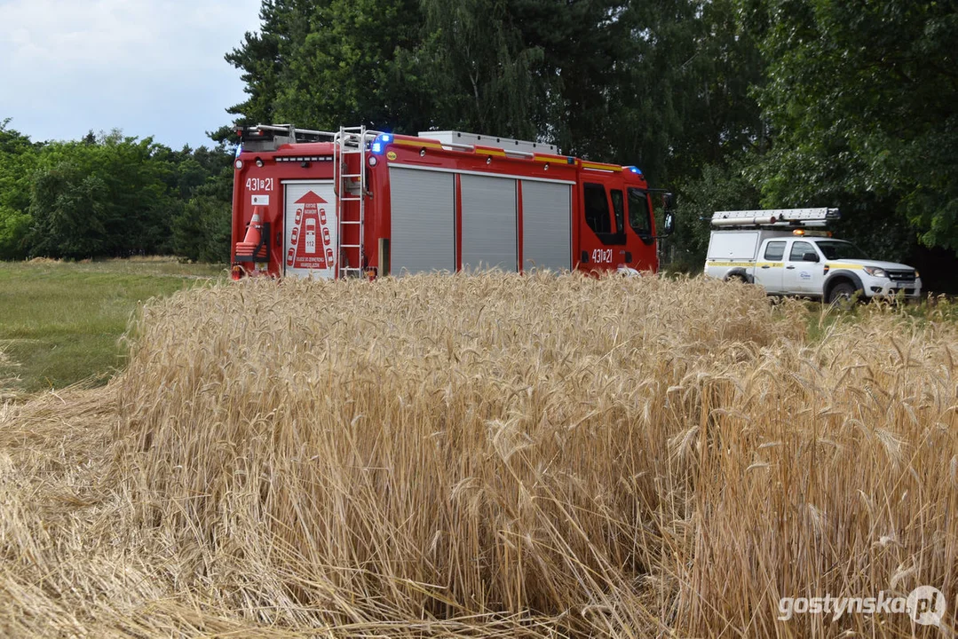 Pożar zboża w Poniecu i Kuczynie