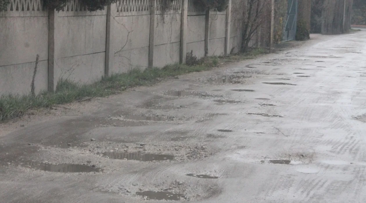 Mieszkańcy ul. Grzybowej w Zielonej Łące: Tu jest dziura na dziurze [ZDJĘCIA] - Zdjęcie główne