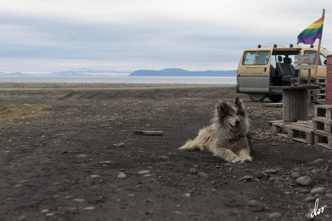 Wyprawa pleszewian na Spitsbergen